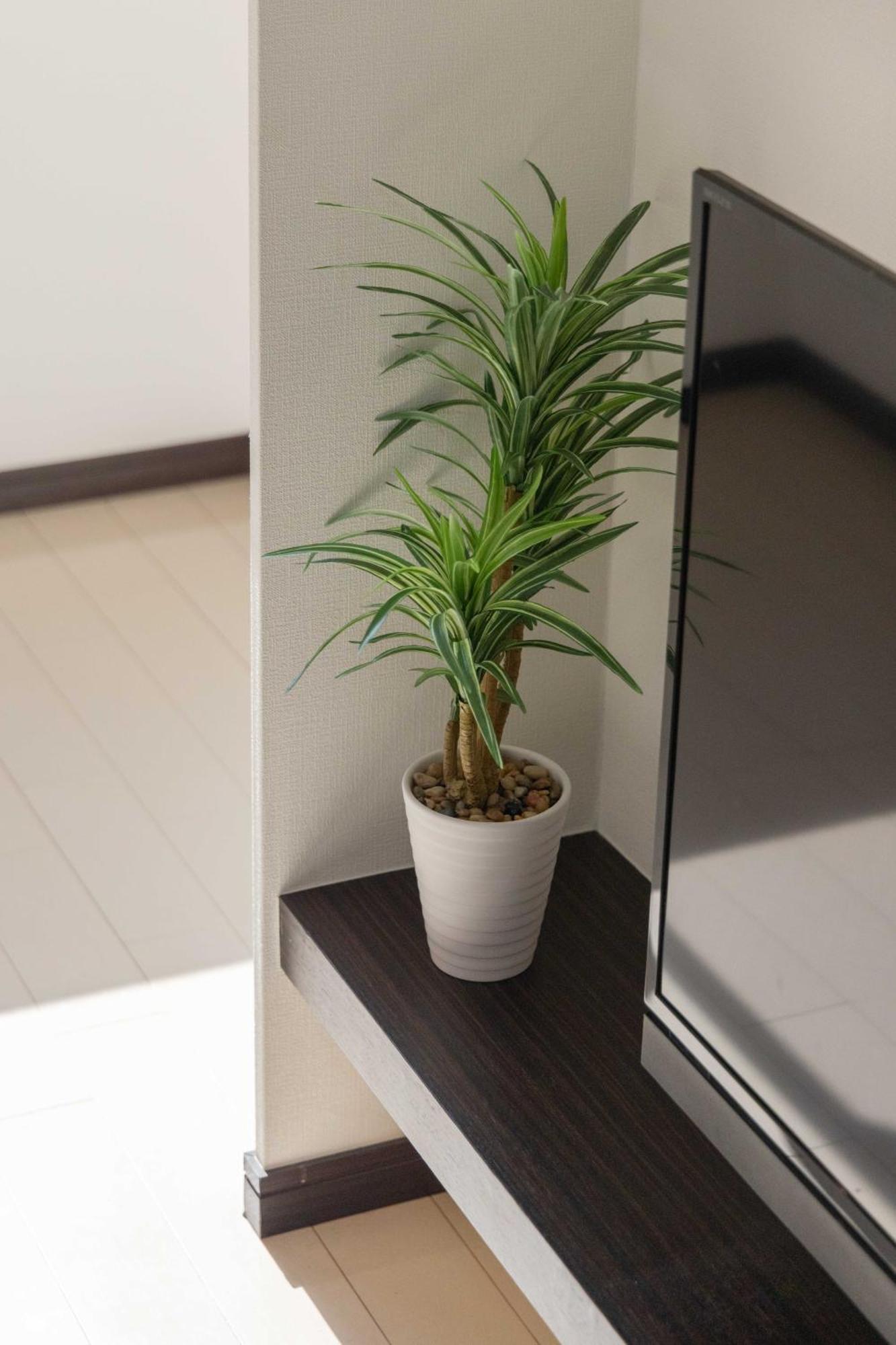 Skytree View Kinshicho - Self Check-In Only Apartment Tokio Exterior foto